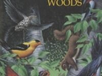 One Day In The Woods
