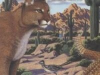 One Day In The Desert