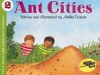 Ant Cities