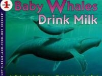 Baby Whales Drink Milk