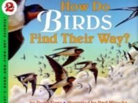 How Do Birds Find Their Way?