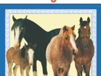 Why Do Horses Neigh?