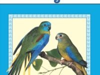 Why Do Birds Sing?