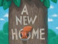 A New Home