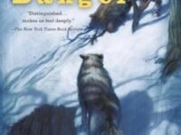 Winter Danger
