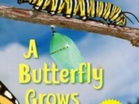A Butterfly Grows