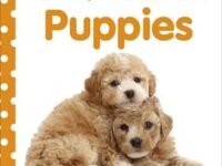 Baby Touch And Feel: Puppies