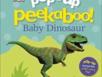 Baby Dinosaur: Pop-Up Peek A Boo!