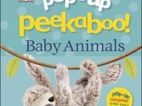 Baby Animals: Pop-Up Peek A Boo!