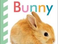 Baby Touch And Feel Bunny