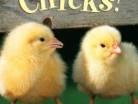 Chicks!