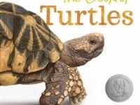 The Book Of Turtles