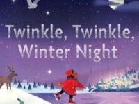 Twinkle, Twinkle, Winter Night:a Winter And Holiday Book For Kids