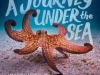 A Journey Under The Sea
