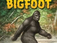 Looking For Bigfoot