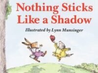 Nothing Sticks Like A Shadow