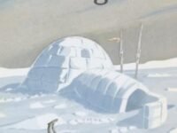 The Igloo