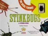 The Real Thing: Stinkbugs & Other Bugs