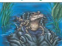 Baby Alligator