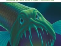 Freak Out!:animals Beyond Your Wildest Imagination