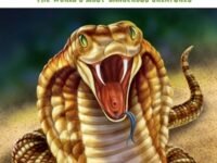 Watch Out!:the World's Most Dangerous Creatures