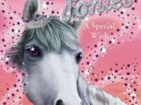 A Special Wish #2