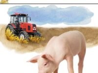 On A Farm