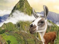 Where Is Machu Picchu?