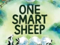 One Smart Sheep