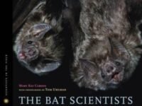 The Bat Scientists