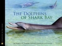 The Dolphins Of Shark Bay