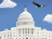 What Is Congress?