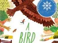A Bird Will Soar