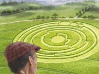 What Do We Know About Crop Circles?