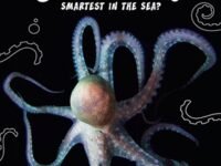 Octopus!:Smartest In The Sea?