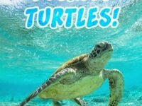 Totally Turtles!