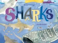 Hello, World! Kids' Guides: Exploring Sharks