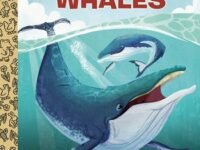 My Little Golden Book About Whales