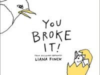 You Broke It!