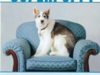 Superpuppy:How To Choose, Raise, And Train The Best Possible Dog For You