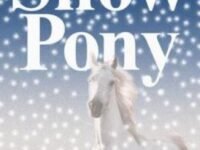 The Snow Pony