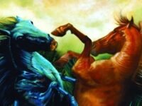 The Black Stallion And Flame