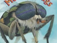 Monster Bugs