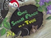One Small Place In A Tree