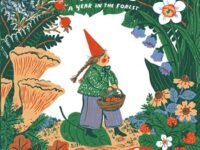 Little Witch Hazel:a Year In The Forest