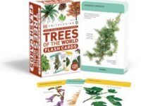 Our World In Pictures Trees Of The World Flash Cards