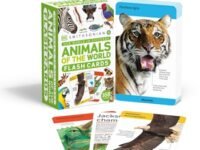 Our World In Pictures Animals Of The World Flash Cards