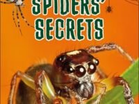 Dk Super Readers Level 3 Spiders' Secrets