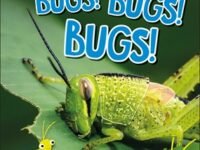 Dk Super Readers Level 3 Bugs! Bugs! Bugs!