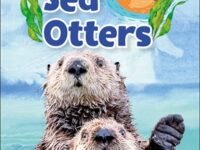 Dk Super Readers Level 1 Sea Otters
